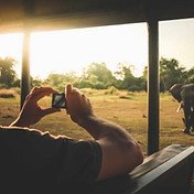 Botswana safari